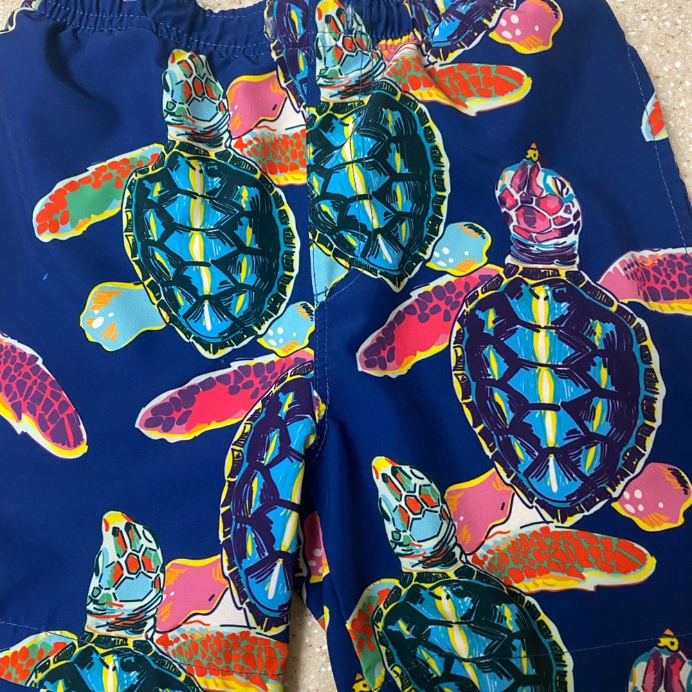 Colorful Turtle Print Swim Shorts